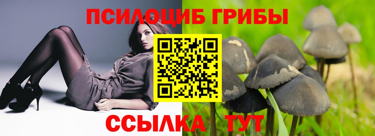 Галлюциногенные грибы Magic Shrooms  Вход с VPN  Екатеринбург  Галлюциногенные грибы MAGIC MUSHROOMS 