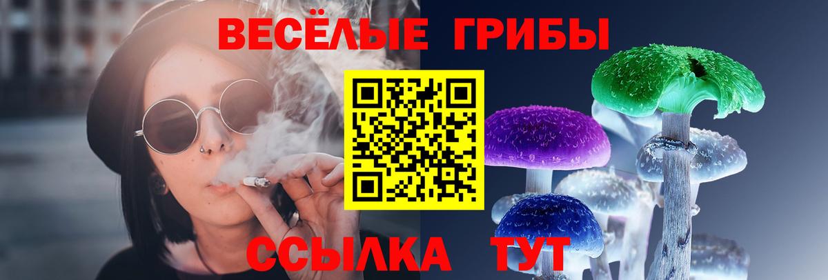 Псилоцибиновые грибы Psilocybe Екатеринбург